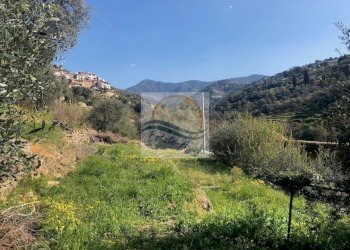 Foto 13 - Villa vIALE europa, Vallebona - foto 13