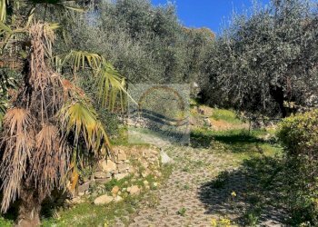 Foto 14 - Villa vIALE europa, Vallebona - foto 14