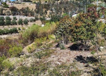 Foto 4 - Terreno edificabile Bordighera - foto 4