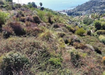 Foto 10 - Terreno edificabile Bordighera - foto 10