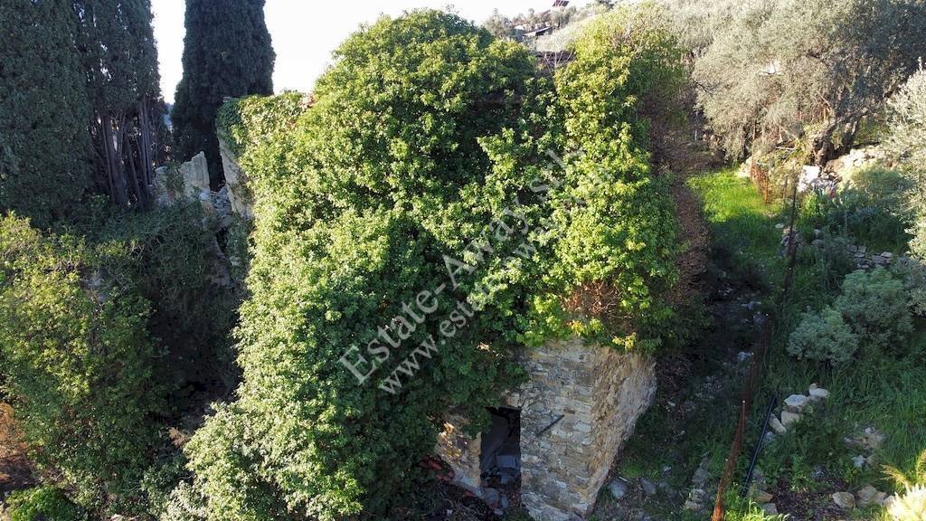 Foto 3 - Rustic Via penne nere, Bordighera - photo 3