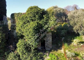 Foto 2 - Rustic Via penne nere, Bordighera - photo 2