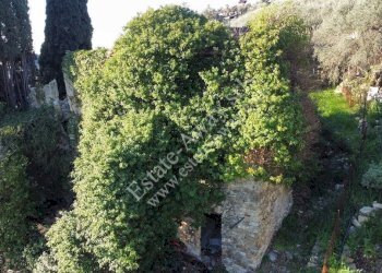 Foto 3 - Rustic Via penne nere, Bordighera - photo 3