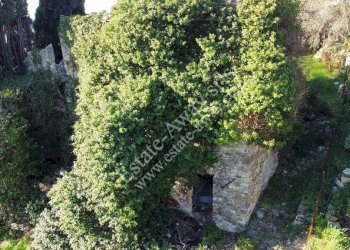 Foto 5 - Rustic Via penne nere, Bordighera - photo 5