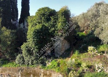 Foto 10 - Rustic Via penne nere, Bordighera - photo 10