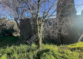 Foto 13 - Rustic Via penne nere, Bordighera - photo 13