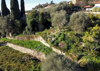 Foto 15 - Rustic Via penne nere, Bordighera - photo 15