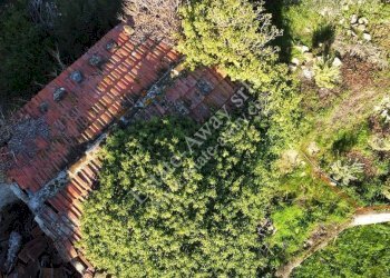 Foto 16 - Rustic Via penne nere, Bordighera - photo 16