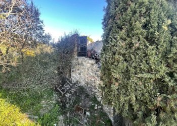 Foto 18 - Rustic Via penne nere, Bordighera - photo 18