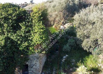 Foto 19 - Rustic Via penne nere, Bordighera - photo 19