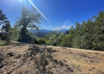 Foto 14 - Casa indipendente Strada san sebastiano, Vallebona - foto 14