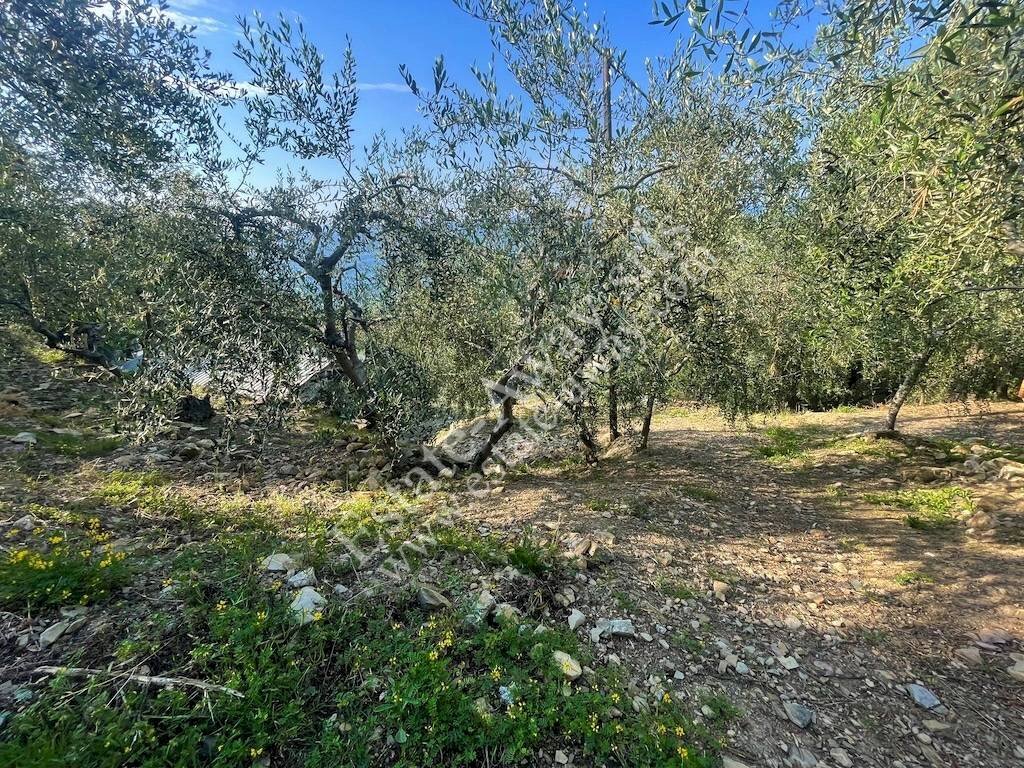 Foto 3 - Building land strada nuova, Cipressa - photo 3