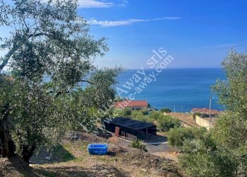 Foto 2 - Terreno edificabile strada nuova, Cipressa - foto 2