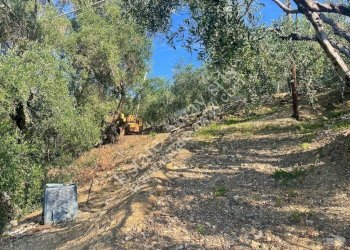 Foto 4 - Terreno edificabile strada nuova, Cipressa - foto 4