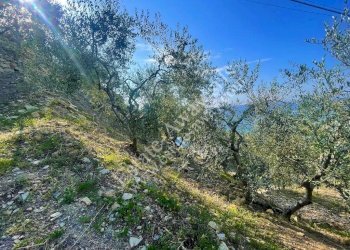 Foto 5 - Terreno edificabile strada nuova, Cipressa - foto 5