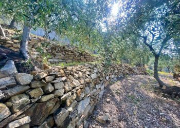 Foto 6 - Terreno edificabile strada nuova, Cipressa - foto 6