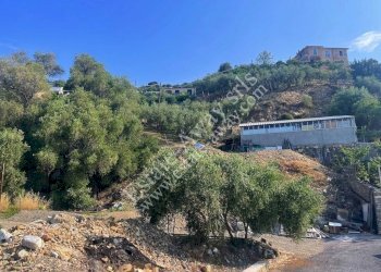 Foto 7 - Terreno edificabile strada nuova, Cipressa - foto 7