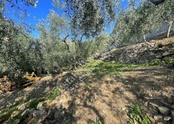 Foto 8 - Terreno edificabile strada nuova, Cipressa - foto 8