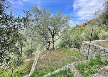 Foto 22 - Independent house Perinaldo, Perinaldo - photo 22