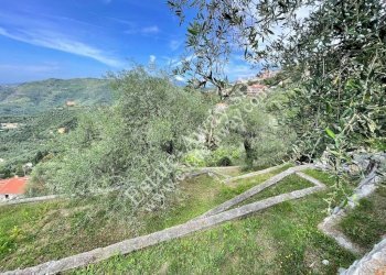 Foto 23 - Independent house Perinaldo, Perinaldo - photo 23