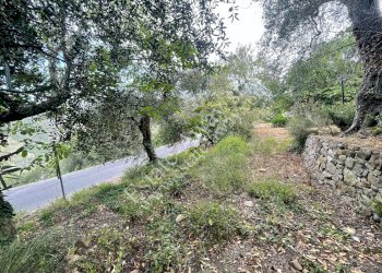 Foto 17 - Casa semi indipendente Soldano - foto 17