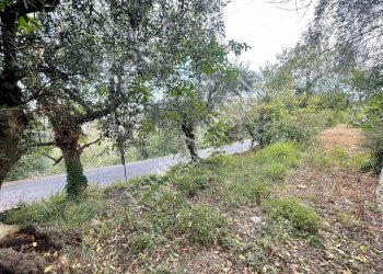 Foto 19 - Casa semi indipendente Soldano - foto 19