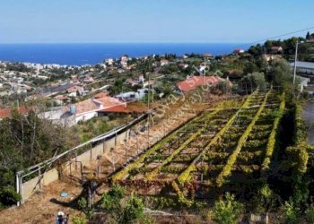 Foto 1 - Rustico Sanremo - foto 1