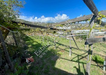 Foto 7 - Rustico Sanremo - foto 7