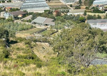 Foto 10 - Rustico Sanremo - foto 10