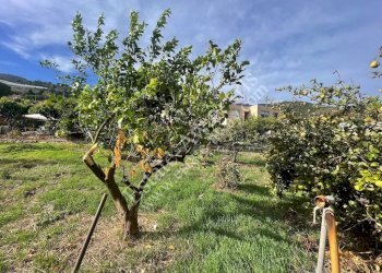 Foto 9 - Terreno edificabile Strada Termini, Ospedaletti - foto 9