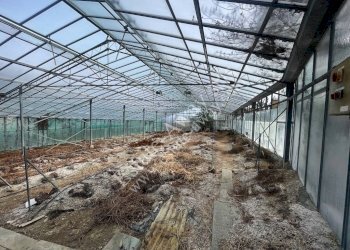 Foto 10 - Terreno edificabile Strada Termini, Ospedaletti - foto 10