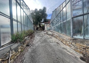 Foto 11 - Terreno edificabile Strada Termini, Ospedaletti - foto 11