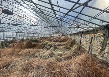 Foto 14 - Terreno edificabile Strada Termini, Ospedaletti - foto 14