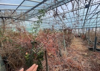 Foto 18 - Terreno edificabile Strada Termini, Ospedaletti - foto 18