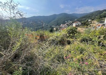 Foto 3 - Terreno edificabile Strada Sant Antonio, Sanremo - foto 3