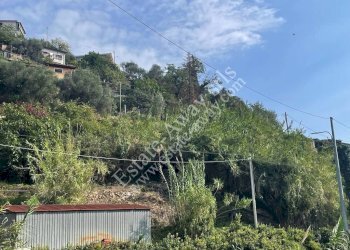 Foto 5 - Terreno edificabile Strada Sant Antonio, Sanremo - foto 5