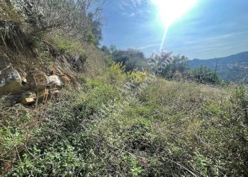 Foto 8 - Terreno edificabile Strada Sant Antonio, Sanremo - foto 8