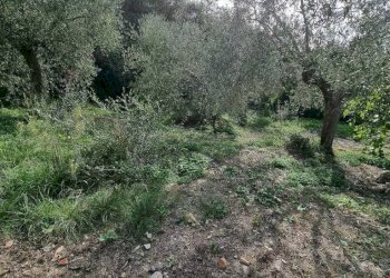 Foto 10 - Independent house Via carli, Imperia - photo 10