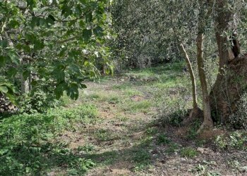 Foto 17 - Independent house Via carli, Imperia - photo 17