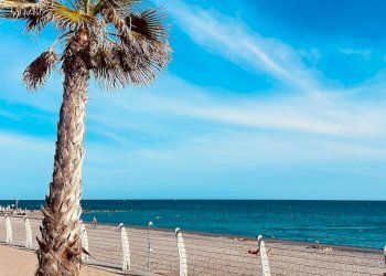 Foto 3 - Trilocale Via Concaverde, Vallecrosia - foto 3