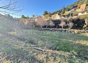 Foto 17 - Independent house Corso nizza
 
121, Ventimiglia - photo 17