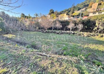 Foto 18 - Independent house Corso nizza
 
121, Ventimiglia - photo 18