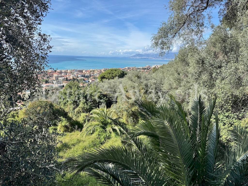 Foto 2 - Terreno edificabile Via Coggiola, Bordighera - foto 2