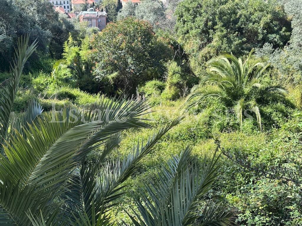 Foto 3 - Terreno edificabile Via Coggiola, Bordighera - foto 3