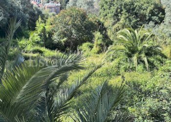 Foto 3 - Terreno edificabile Via Coggiola, Bordighera - foto 3