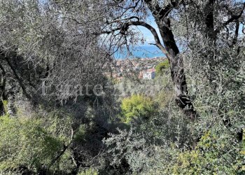 Foto 6 - Terreno edificabile Via Coggiola, Bordighera - foto 6