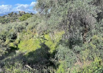 Foto 7 - Terreno edificabile Via Coggiola, Bordighera - foto 7