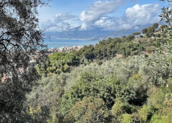 Foto 10 - Terreno edificabile Via Coggiola, Bordighera - foto 10