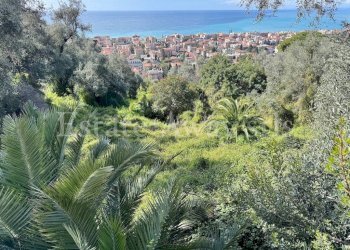 Foto 12 - Terreno edificabile Via Coggiola, Bordighera - foto 12