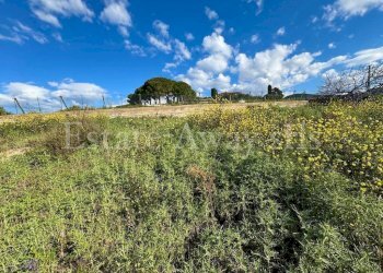 Foto 7 - Terreno edificabile Via dei colli, Bordighera - foto 7